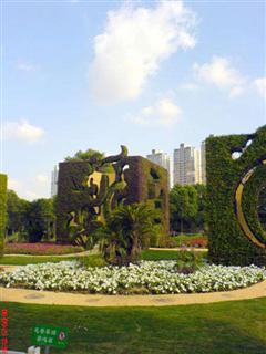Topiary Photos